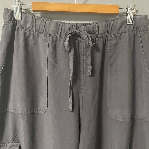 NWT Thread & Supply tencel cargo jogger in gray. Size Medium - Picture 4 of 8